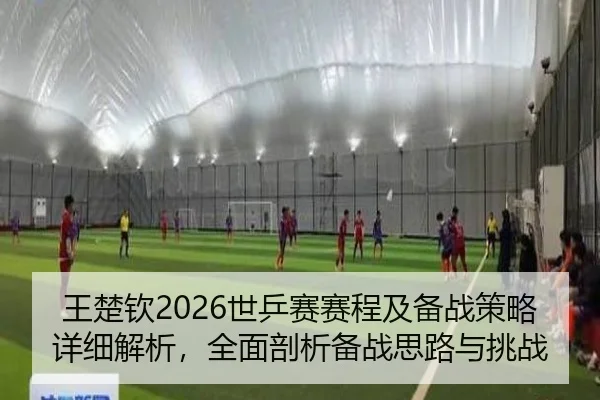 王楚钦2026世乒赛赛程及备战策略详细解析，全面剖析备战思路与挑战