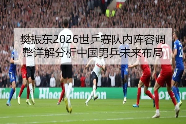 樊振东2026世乒赛队内阵容调整详解分析中国男乒未来布局